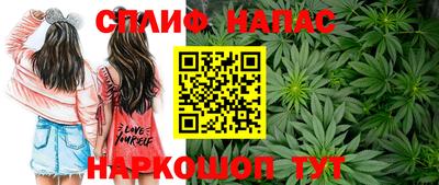 мдпв Дубна