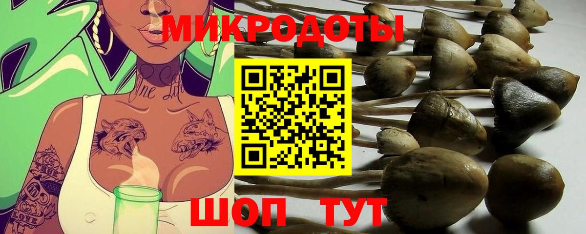 Галлюциногенные грибы мицелий Оренбург