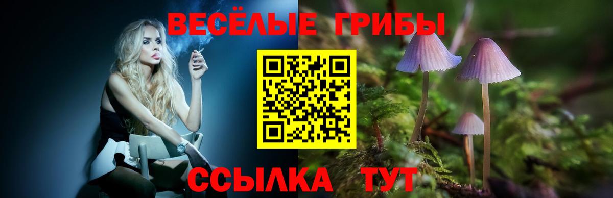 Оренбург  Псилоцибиновые грибы Cubensis  Вход с VPN 